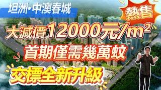 坦洲中澳春城，大減價12000元/m²，首期僅需幾萬蚊，交標全新升級