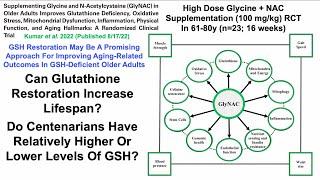 Glycine + N-Acetyl Cysteine Supplementation Increases Lifespan