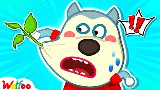 Oh No! A Tree Is Growing On My Face! Wolfoo Funny Videos For Kids | Wolfoo Canada