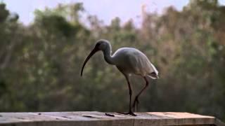 Green Cay Nature Center