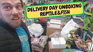 Delivery Day Unboxing Fish and Reptile STUFF !!!!! (Snake Island Exotics) #unboxing #fish #reptiles