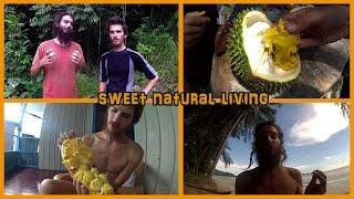 WELCOME TO OUR CHANNEL: SWEET NATURAL LIVING TRAILER