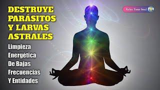 DESTRUYE PARÁSITOS Y LARVAS ASTRALES | LIMPIEZA ENERGÉTICA DE BAJAS FRECUENCIAS Y ENTIDADES | 417 Hz