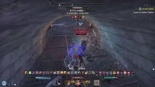 ESO PVP - OMNI TANK WEREWOLF