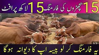 bachra farming business plan in pakistan||bachra farming|| natural desi wanda||