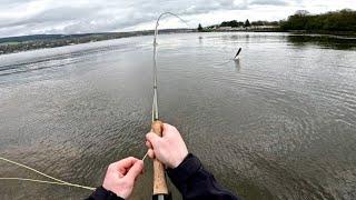 My Biggest Sea Trout On The Fly!!