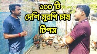 কিভাবে ১০০টি দেশি মুরগি পালন করবেন? Native Chicken Farming Tips