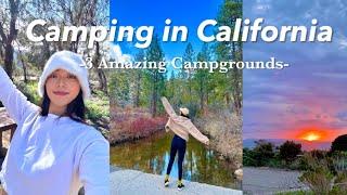 2023 Camping in California Vlog | 2 National Forest, 1 Coast | Camping Cooking |Korean BBQ, Ramyun