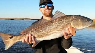 How To Catch OVERSLOT REDFISH (with MUD MINNOWS)