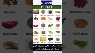 Pulses |Pulses vocabulary |#learn Pulses_Name