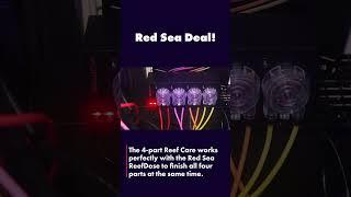 Red Sea ReefDose 4 - FREE 4 part offer #redseareefer  #aquascape #reeftank #fishtank