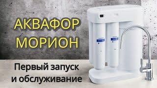 Аквафор Морион. Первый запуск и обслуживание фильтра.