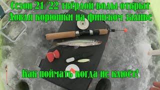 Ловля корюшки на финском заливе. Как поймать когда не клюёт. Сезон твёрдой воды 21/22 открыт.