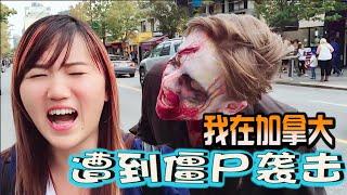 参加加拿大僵尸大游行/感觉真的有点世界末日了！Zombie Walk/ Dead Walking