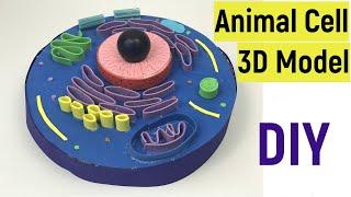 Animal cell 3d model | Animal cell model for science projects | DIY | #diyasfunplay | Cell model