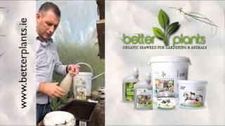 Better Plants - Seaweed Liquid Fertiliser