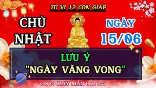 Tử Vi Ngày 15/06 Của 12 Con Giáp - Lưu Ý Cẩn Trọng "NGÀY VÃNG VONG" 