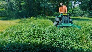 Military family FORCED to move and their Yard became a JUNGLE