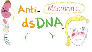 Anti-dsDNA autoantibodies - Mnemonic - Systemic Lupus Erythematosus (SLE)