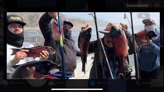 Pescando en palos verdes,