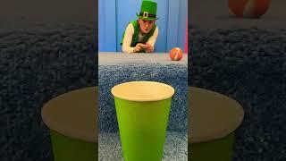 How many bouncy balls with Lucky get in the cup? #kidsactivities #kidsgames #fun