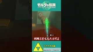 【ティアキン】攻略の鍵は一人用のポッド！歯車は踏み台！？【祠攻略】＃Shorts
