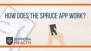 How Does the Spruce App Work?