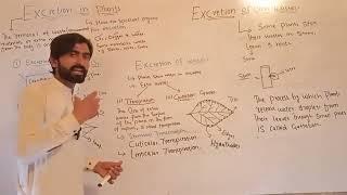 Class 10th Biology Chapter 2 topic Excretion in plants lecture 2 By Rabi Tareen