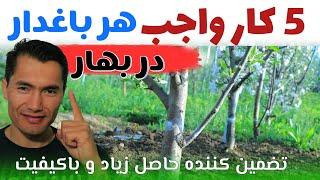 پنج کار ساده در بهار: تضمین کننده حاصل زیاد و باکیفیت برای تمام تمام میوهکاش وقتر میدانیستم!