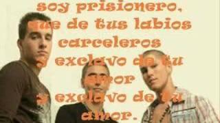 Fondo Flamenco - rompecabezas