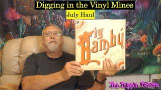 vinyl record finds 2021 07 | July vinyl record haul