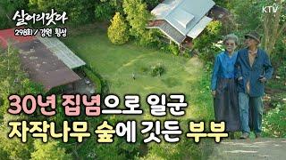 (살어리랏다)(298회) 30년 집념으로 일군 자작나무 숲에 깃든 부부 koreatv, garden, Betula, Art gallery (강원 횡성)