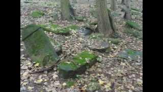 Jewish Cemetery in Bedzin 1831 Ghost walk