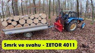 ZETOR 4011 - STIHL MS 500i - Suchý smrk ve svahu