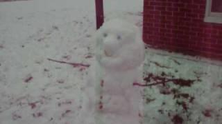 Mr. Snowman