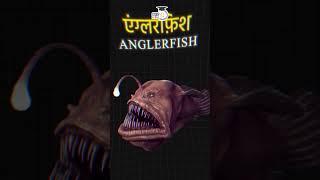 Bioluminescence: Nature's Glow in the Dark I Manish Shrivastava I StudyIQ IAS Hindi