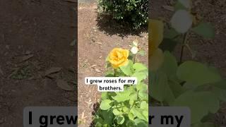 I Grew Roses For My Brothers