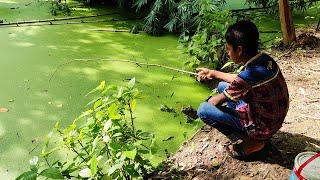 Hook Fishing - Traditional Hook Fishing - Fishing Sultana.