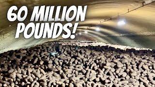 Exploring a Mountain of 60 Million Pounds of Potatoes!