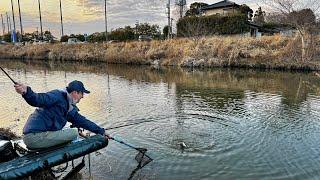 春の乗っ込み霞ヶ浦でへらぶな釣り【花室川】