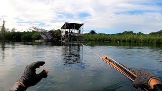 Catching Fish in a Haunted Sea House: Totally Not Creepy at All