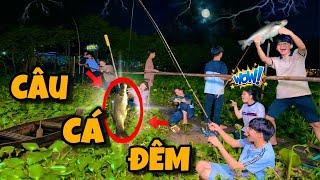 Anh Ba Phải | Thử Thách Câu Cá Đêm   | Night Fishing