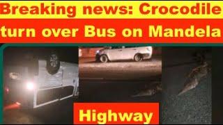 Breaking news: Crocodile turn over Bus on Mandela Highway  . few minutes ago