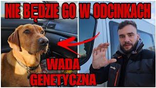 Samo ŻYCIE! Wada Genetyczna i operacja za 50tys / ŻYCIE ZA GRANICĄ!