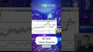 Petkim Hisse (PETKM) Analizi | 2024 Yılı Beklentileri ve Yatırım Stratejileri