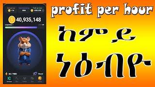 HAMSTER KOMBAT update how can grow our profit per hour#hindi hamster  ከመይ ጌርና ኣብ ሰዓት መኽሰብና ከዕቢ ንኽእል