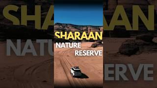 Sharaan Nature Reserve #saudiarabia #Nature #travel #contentcreator #adventure #video #reels