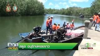 สตูล อนุรักษ์หอยขาว | 03-08-59 | เช้าข่าวชัดโซเชียล | ThairathTV