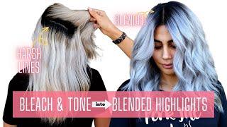 Silver Highlights on Dark Hair - BLEACH & TONE INTO HIGHLIGHTS ON DARK HAIR #HAIRTRANSFORMATION