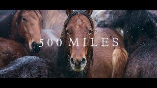 500 Miles - The Story of Ranchers and Horses (2017)